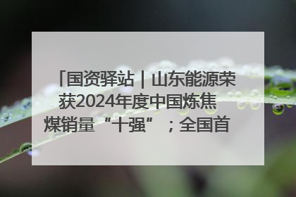 国资驿站｜山东能源荣获2024年度中国炼焦煤销量“十强”；全国首例铁路盖上智慧物流园钢结构主体完工