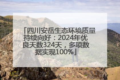 四川安岳生态环境质量持续向好：2024年优良天数324天，多项数据实现100%