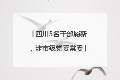 四川5名干部履新，涉市级党委常委