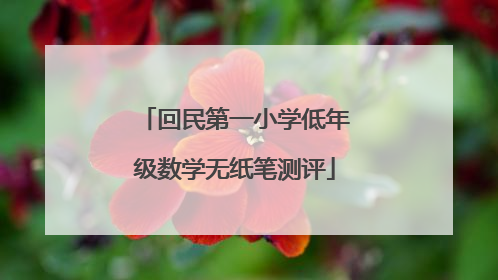 回民第一小学低年级数学无纸笔测评