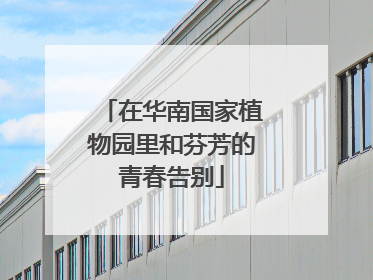 在华南国家植物园里和芬芳的青春告别