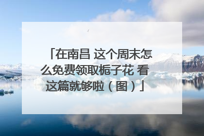 在南昌 这个周末怎么免费领取栀子花 看这篇就够啦（图）