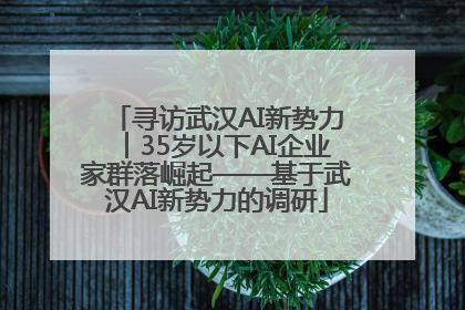 寻访武汉AI新势力︱35岁以下AI企业家群落崛起——基于武汉AI新势力的调研