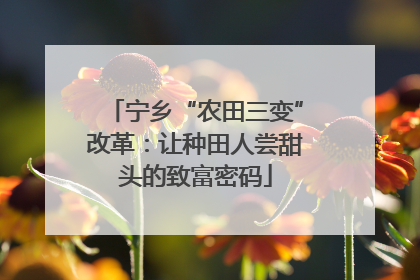宁乡“农田三变”改革：让种田人尝甜头的致富密码