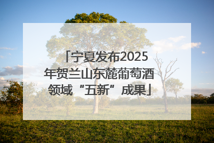宁夏发布2025年贺兰山东麓葡萄酒领域“五新”成果
