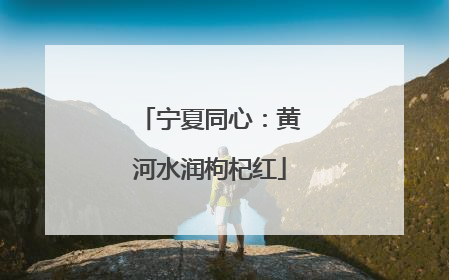 宁夏同心：黄河水润枸杞红