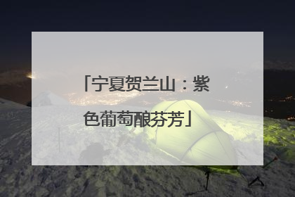 宁夏贺兰山：紫色葡萄酿芬芳