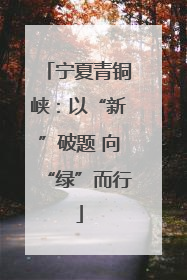 宁夏青铜峡：以“新”破题 向“绿”而行