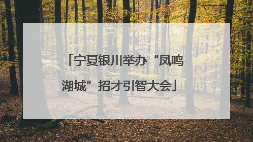 宁夏银川举办“凤鸣湖城”招才引智大会