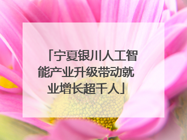 宁夏银川人工智能产业升级带动就业增长超千人