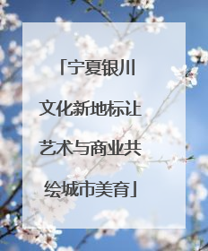 宁夏银川 文化新地标让艺术与商业共绘城市美育