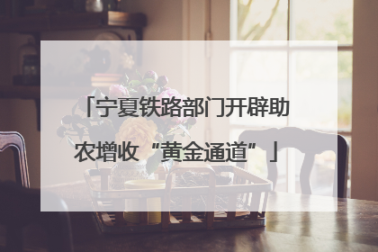 宁夏铁路部门开辟助农增收“黄金通道”