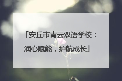 安丘市青云双语学校：润心赋能，护航成长