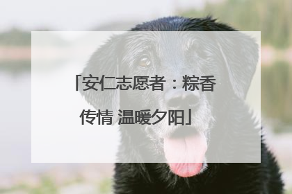 安仁志愿者：粽香传情 温暖夕阳