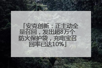 安克创新：正主动全量召回，发出超8万个防火保护袋，充电宝召回率已达10%