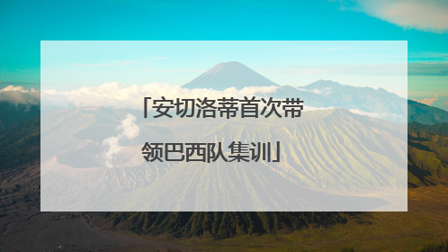 安切洛蒂首次带领巴西队集训
