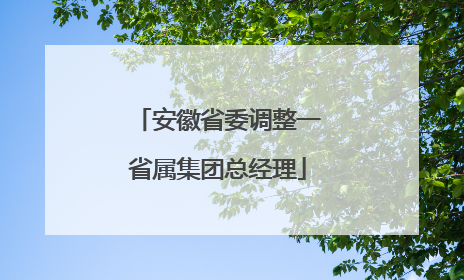 安徽省委调整一省属集团总经理