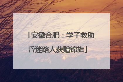 安徽合肥：学子救助昏迷路人获赠锦旗