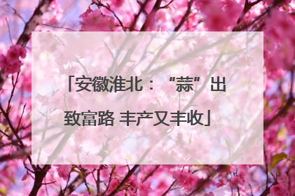 安徽淮北：“蒜”出致富路 丰产又丰收