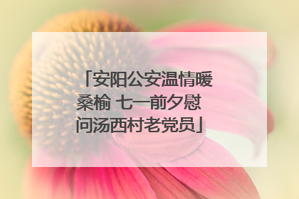 安阳公安温情暖桑榆 七一前夕慰问汤西村老党员