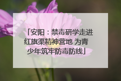 安阳：禁毒研学走进红旗渠精神营地 为青少年筑牢防毒防线