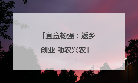 宜章杨强：返乡创业 助农兴农