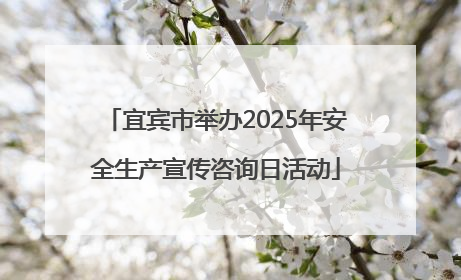 宜宾市举办2025年安全生产宣传咨询日活动