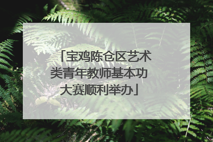 宝鸡陈仓区艺术类青年教师基本功大赛顺利举办