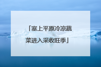 塞上平原冷凉蔬菜进入采收旺季