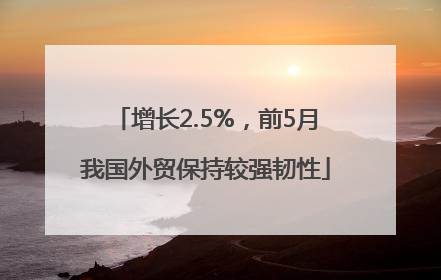增长2.5%，前5月我国外贸保持较强韧性