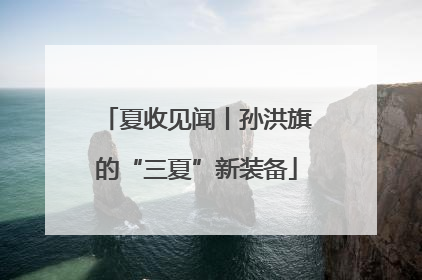 夏收见闻丨孙洪旗的“三夏”新装备
