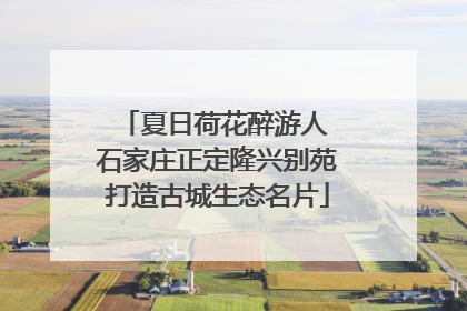 夏日荷花醉游人 石家庄正定隆兴别苑打造古城生态名片