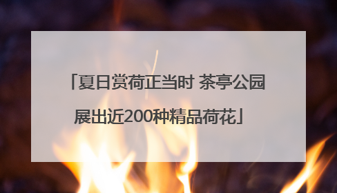 夏日赏荷正当时 茶亭公园展出近200种精品荷花