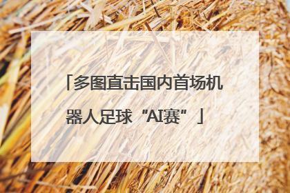 多图直击国内首场机器人足球“AI赛”
