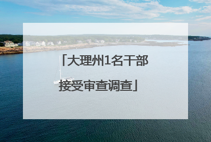大理州1名干部接受审查调查