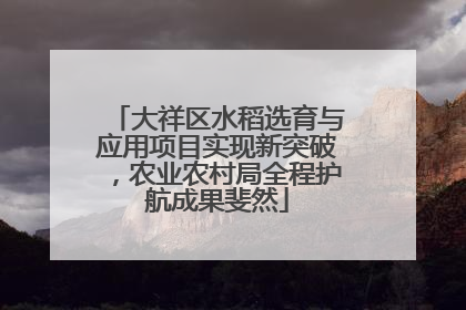 大祥区水稻选育与应用项目实现新突破，农业农村局全程护航成果斐然