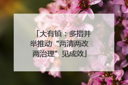大有镇：多措并举推动“两清两改两治理”见成效