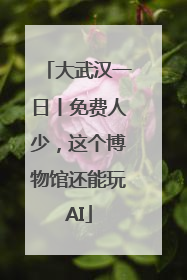 大武汉一日丨免费人少，这个博物馆还能玩AI