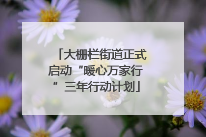 大栅栏街道正式启动“暖心万家行”三年行动计划