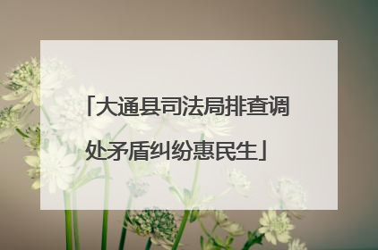 大通县司法局排查调处矛盾纠纷惠民生