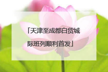 天津至成都白货城际班列顺利首发