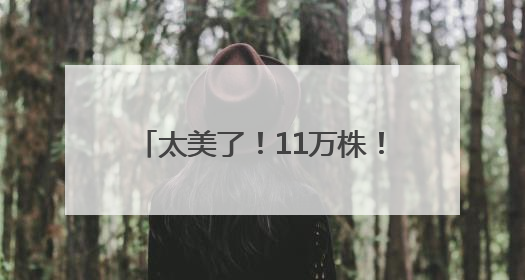 太美了！11万株！福州这里绚丽多彩！