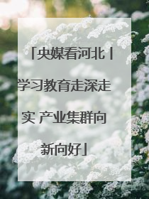 央媒看河北丨学习教育走深走实 产业集群向新向好