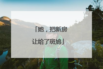 她，把新房让给了斑鸠