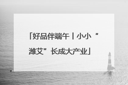 好品伴端午丨小小“潍艾”长成大产业