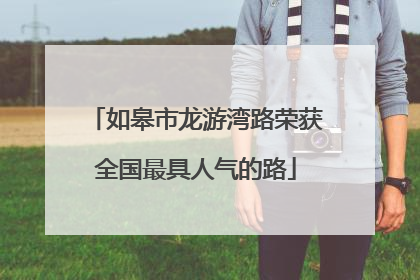 如皋市龙游湾路荣获全国最具人气的路