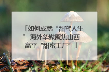 如何成就“甜蜜人生” 海外华媒聚焦山西高平“甜蜜工厂”