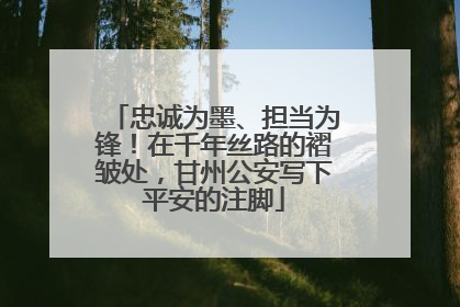 忠诚为墨、担当为锋！在千年丝路的褶皱处，甘州公安写下平安的注脚