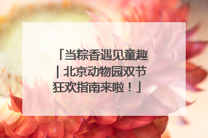 当粽香遇见童趣｜北京动物园双节狂欢指南来啦！