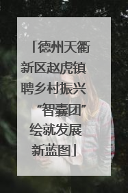 德州天衢新区赵虎镇聘乡村振兴“智囊团” 绘就发展新蓝图